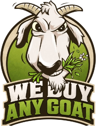 We Buy Any Goat